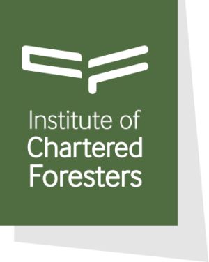 Logo for ICF Expanding Horizons Awards